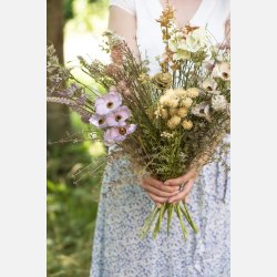 Blomst lilla/gr�nne nuancer