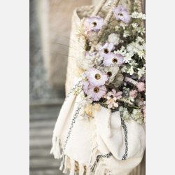 Blomst lilla/gr�nne nuancer