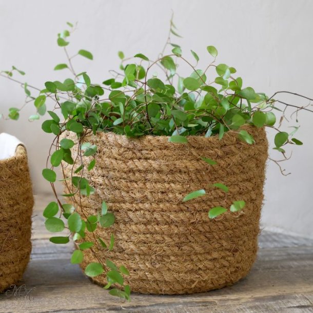 Kurv i flet - �.18 cm