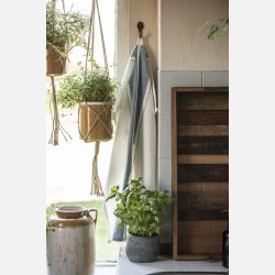 Knage enkelt mini