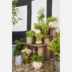 Skjuler med �rer - Mosgr�n distressed