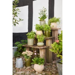 Skjuler med �rer - Mosgr�n distressed