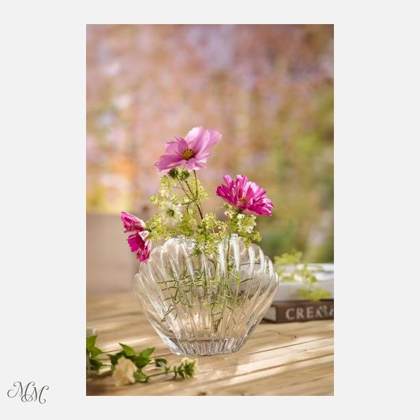 Muslingevase - Klart glas