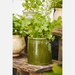 Skjuler med �rer - Mosgr�n distressed