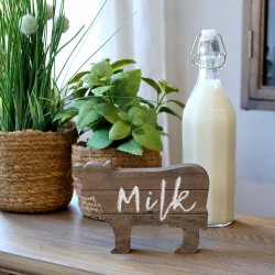 Ko i tr� - Milk