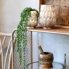 Fleur H�ngeplante - L.75 cm