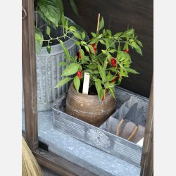 Planteskilt s�t af 5