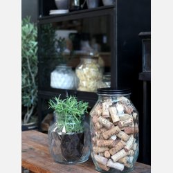 Opbevaringsglas med diamantudsk�ring