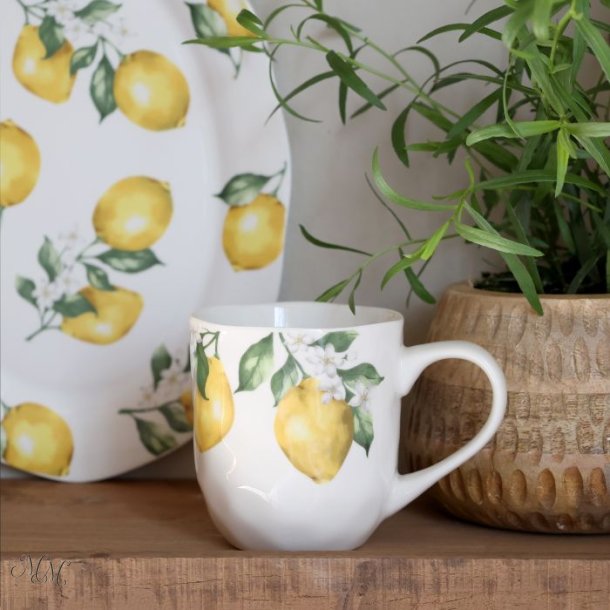 Maison Citron Krus