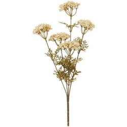 Blomsterstilk - Hvid - 5 sk�rmblomster 