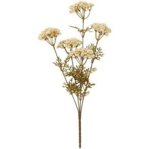 Blomsterstilk - Hvid - 5 sk�rmblomster 