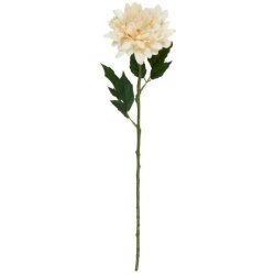 Dahliastilk - Butter cream
