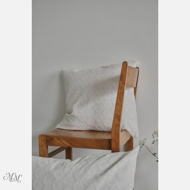 Aster pudebetr�k