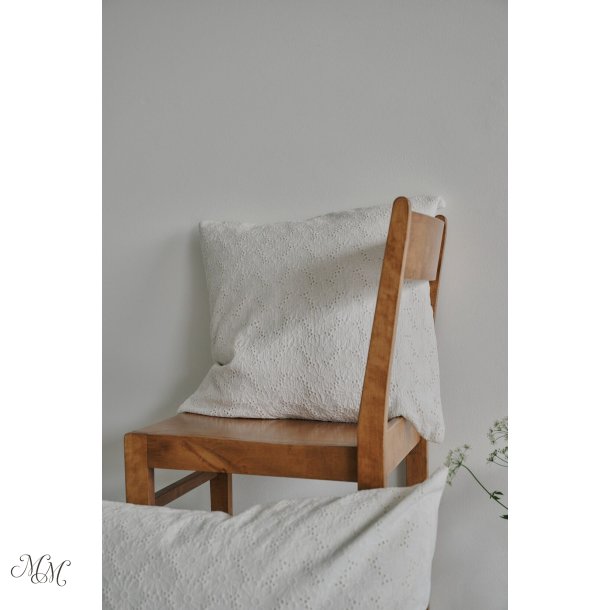 Aster pudebetr�k