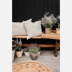 Pudebetr�k - Rosemoor