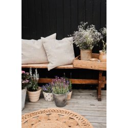 Pudebetr�k - Rosemoor
