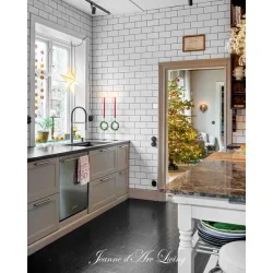 JDL S�rudgave - Julens Hjem